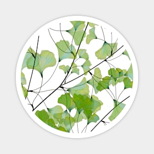 Ginkgo leaves Magnet